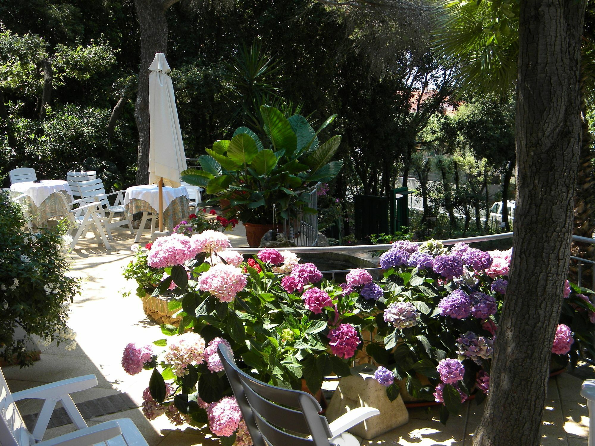 Hotel La Rosa Del Tirreno Livorno Ngoại thất bức ảnh